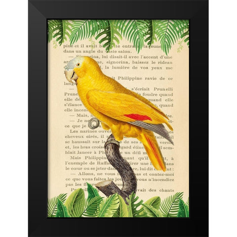 The Blue-Fronted Parrot- After Levaillant Black Modern Wood Framed Art Print by Lamanche, Stef
