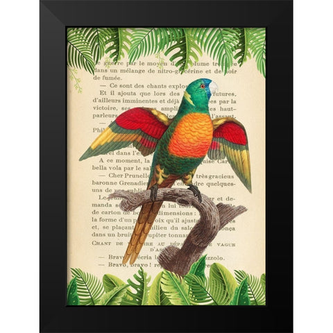 The Blue-Headed Parrot- After Levaillant Black Modern Wood Framed Art Print by Lamanche, Stef