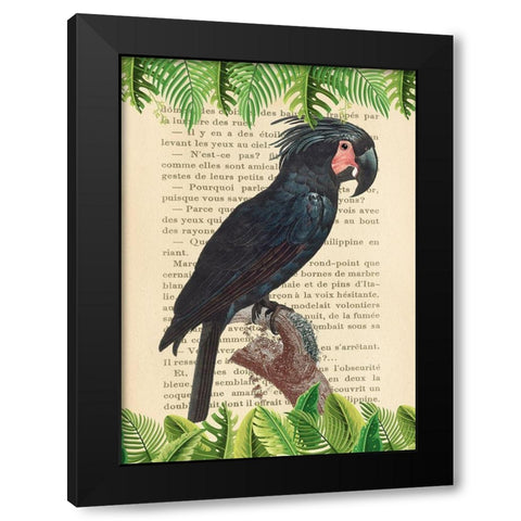 The Palm Cockatoo- After Levaillant Black Modern Wood Framed Art Print with Double Matting by Lamanche, Stef