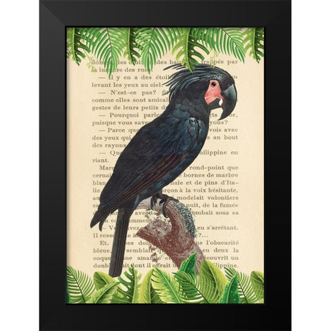 The Palm Cockatoo- After Levaillant Black Modern Wood Framed Art Print by Lamanche, Stef