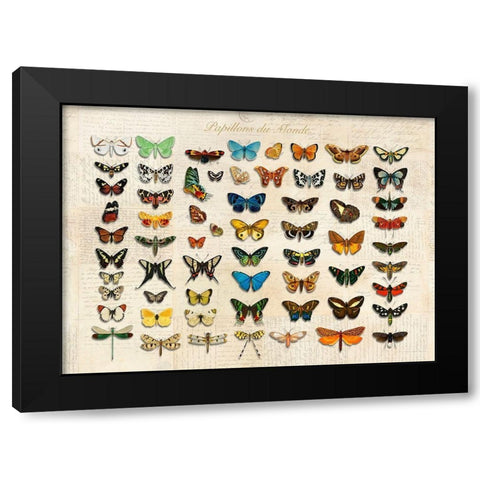 Papillons du Monde- After DOrbigny Black Modern Wood Framed Art Print with Double Matting by Lamanche, Stef