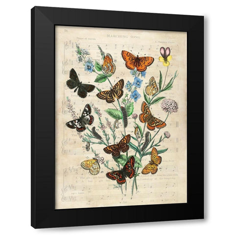 European Butterflies- After Kirby Black Modern Wood Framed Art Print with Double Matting by Lamanche, Stef