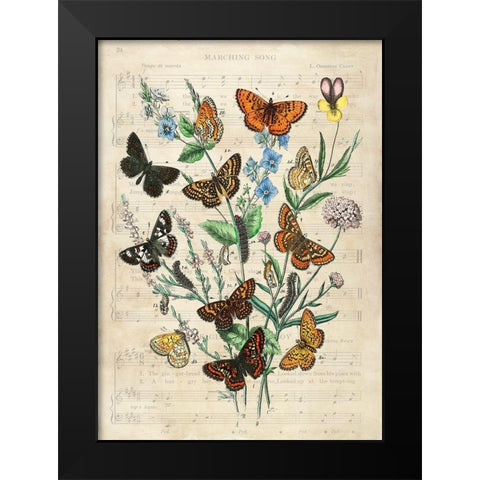European Butterflies- After Kirby Black Modern Wood Framed Art Print by Lamanche, Stef