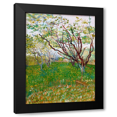 The Flowering Orchard Black Modern Wood Framed Art Print with Double Matting by van Gogh, Vincent