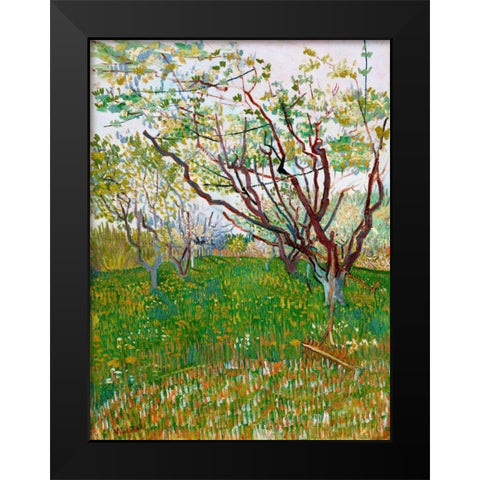 The Flowering Orchard Black Modern Wood Framed Art Print by van Gogh, Vincent