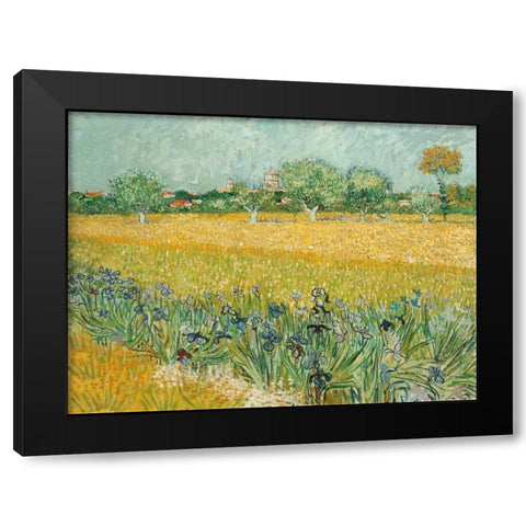 Field with Irises near Arles Black Modern Wood Framed Art Print with Double Matting by Van Gogh, Vincent