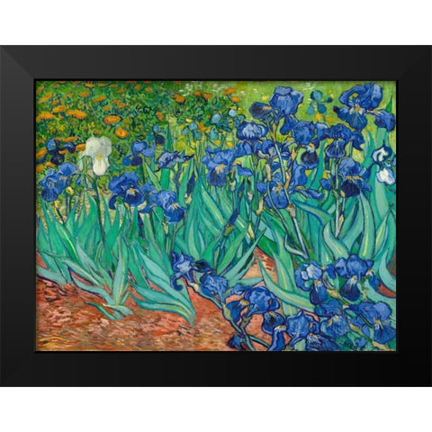 Irises Black Modern Wood Framed Art Print by Van Gogh, Vincent