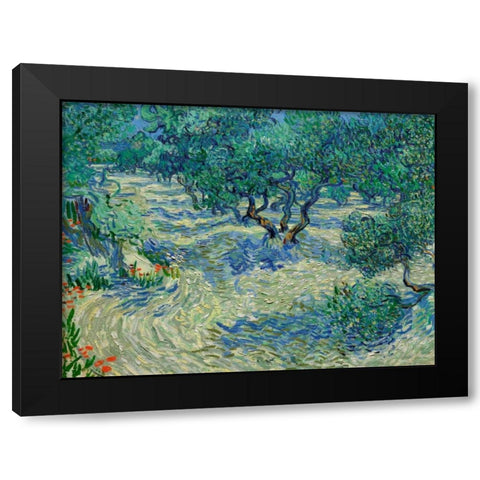 Olive Orchard Black Modern Wood Framed Art Print by Van Gogh, Vincent