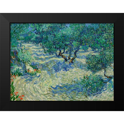 Olive Orchard Black Modern Wood Framed Art Print by Van Gogh, Vincent