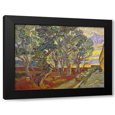 The garden of Saint Pauls Hospital Black Modern Wood Framed Art Print with Double Matting by van Gogh, Vincent