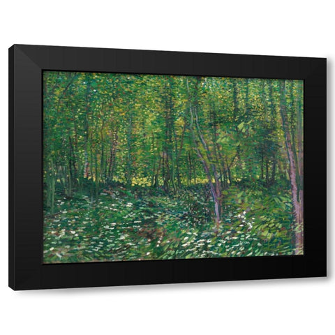 Trees and undergrowth Black Modern Wood Framed Art Print with Double Matting by van Gogh, Vincent