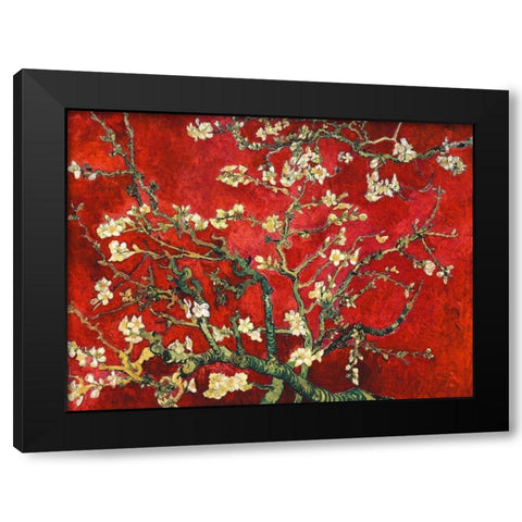 Mandorlo in fiore (red variation) Black Modern Wood Framed Art Print with Double Matting by Van Gogh, Vincent