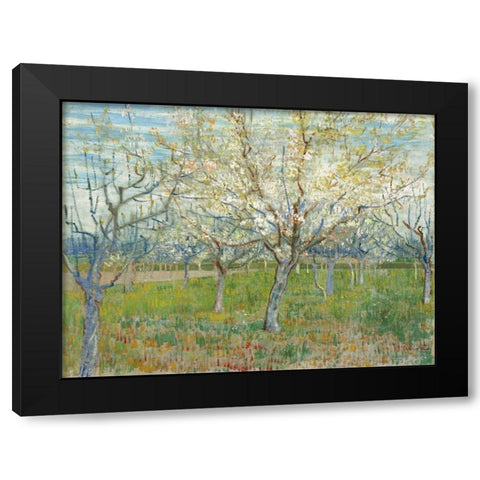 The Pink Orchard Black Modern Wood Framed Art Print by van Gogh, Vincent