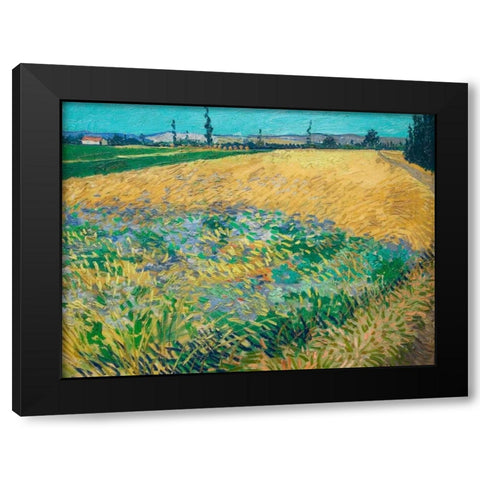 Wheatfield Black Modern Wood Framed Art Print with Double Matting by van Gogh, Vincent