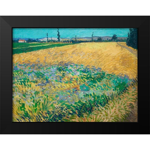 Wheatfield Black Modern Wood Framed Art Print by van Gogh, Vincent