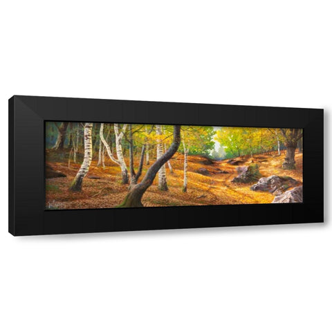 Sentiero nel bosco Black Modern Wood Framed Art Print with Double Matting by Galasso, Adriano