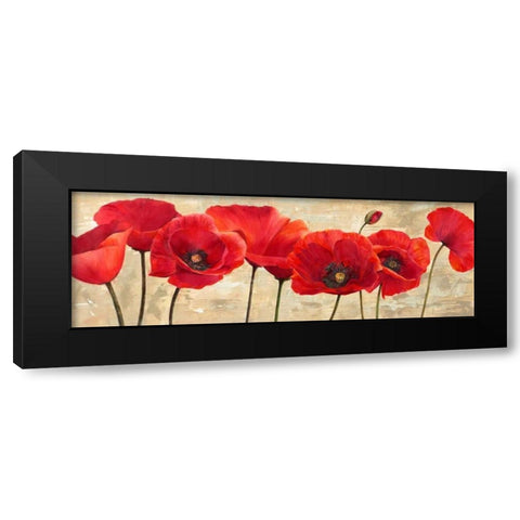 Red Poppies Black Modern Wood Framed Art Print by Ann, Cynthia
