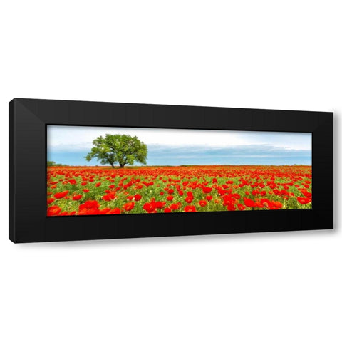 Tree in a poppy field Black Modern Wood Framed Art Print by Anonymous