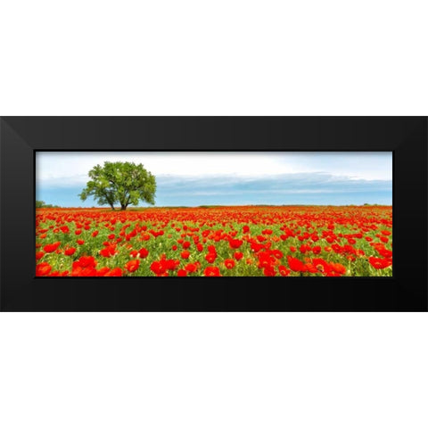 Tree in a poppy field Black Modern Wood Framed Art Print by Anonymous