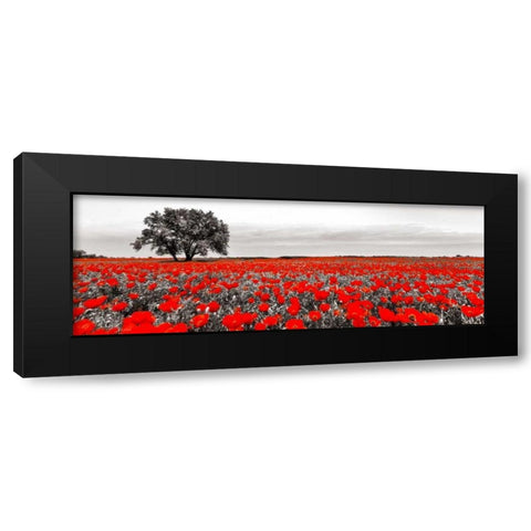 Tree in a poppy field Black Modern Wood Framed Art Print by Anonymous