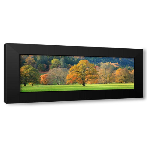 Mixed trees in autumn colour Scotland Black Modern Wood Framed Art Print with Double Matting by Anonymous