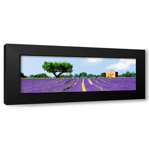 Lavender Fields, France Black Modern Wood Framed Art Print with Double Matting by Pangea Images