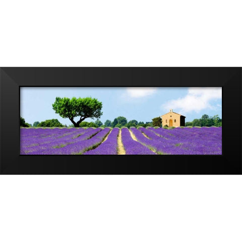 Lavender Fields, France Black Modern Wood Framed Art Print by Pangea Images