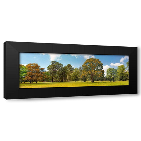 Trees in a Park Black Modern Wood Framed Art Print by Pangea Images