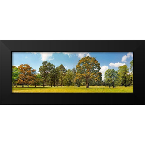 Trees in a Park Black Modern Wood Framed Art Print by Pangea Images