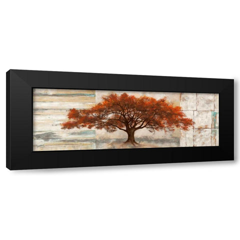 Rubra Black Modern Wood Framed Art Print by Bacci, Leonardo