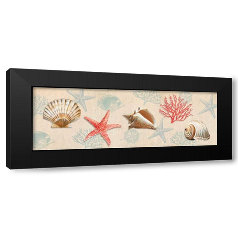 Gifts from the Ocean Black Modern Wood Framed Art Print with Double Matting by Broome, Ted