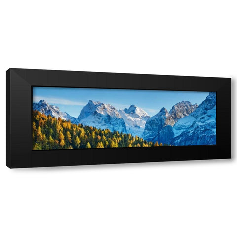 Larch forest and Cima bel Pra, Italy Black Modern Wood Framed Art Print by Krahmer, Frank