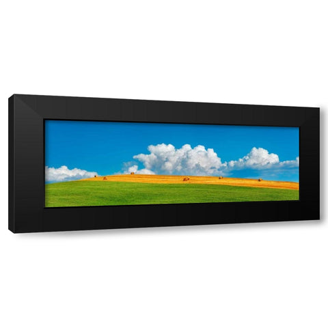 Corn field harvested, Tuscany, Italy Black Modern Wood Framed Art Print by Krahmer, Frank