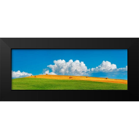 Corn field harvested, Tuscany, Italy Black Modern Wood Framed Art Print by Krahmer, Frank