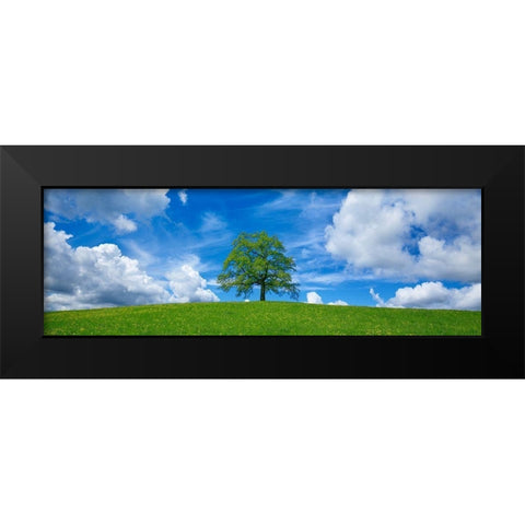 Oak and clouds, Bavaria, Germany Black Modern Wood Framed Art Print by Frank, Krahmer