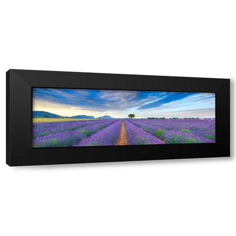 Lavender field, France Black Modern Wood Framed Art Print by Frank, Krahmer