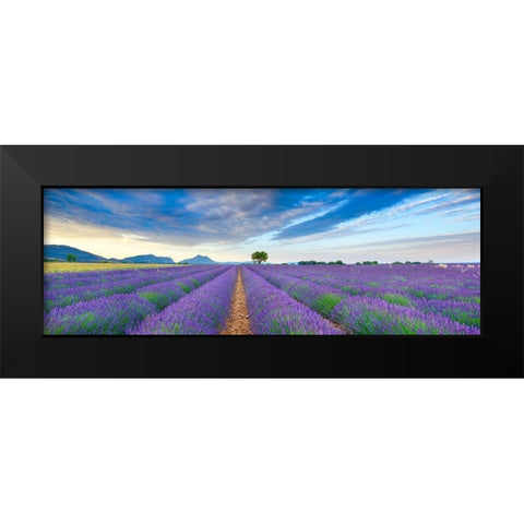 Lavender field, France Black Modern Wood Framed Art Print by Frank, Krahmer