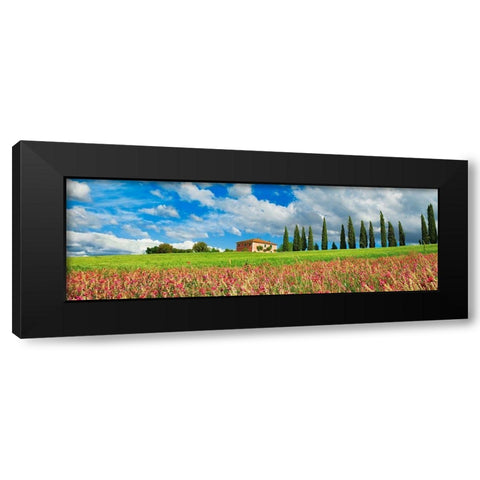 Landscape with cypress alley and sainfoins- San Quirico dOrcia- Tuscany Black Modern Wood Framed Art Print with Double Matting by Krahmer, Frank