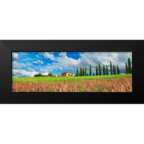Landscape with cypress alley and sainfoins- San Quirico dOrcia- Tuscany Black Modern Wood Framed Art Print by Krahmer, Frank