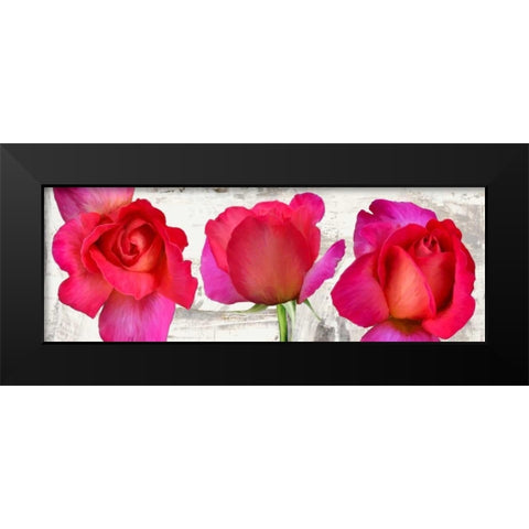 Spring Roses Black Modern Wood Framed Art Print by Thomlinson, Jenny