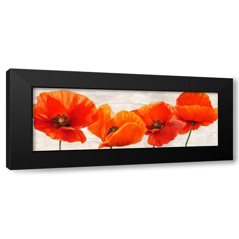Bright Poppies Black Modern Wood Framed Art Print with Double Matting by Jenny, Thomlinson
