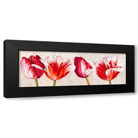 Gioiosi tulipani Black Modern Wood Framed Art Print with Double Matting by Villa, Luca