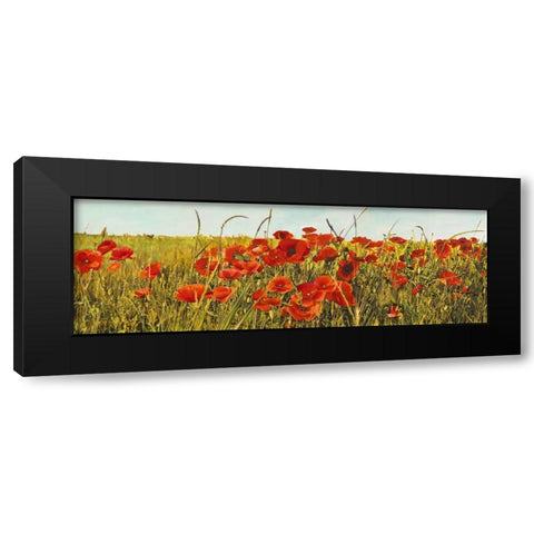 Poppy Field Black Modern Wood Framed Art Print with Double Matting by Villa, Luca