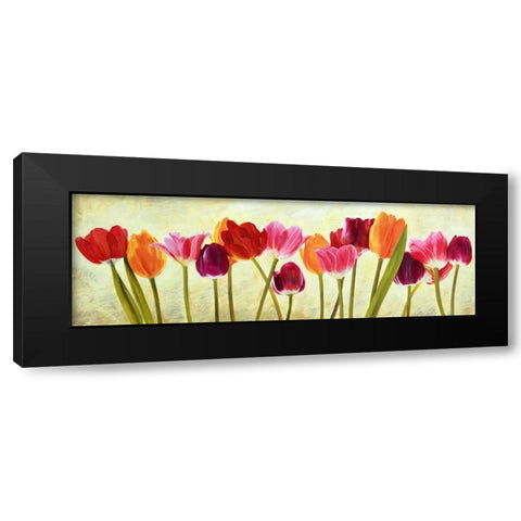 Tulip parade Black Modern Wood Framed Art Print by Villa, Luca