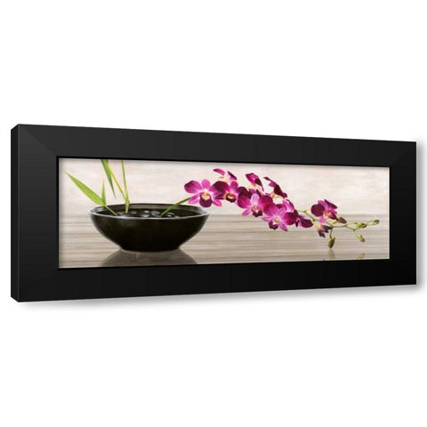 Orchid Arrangement Black Modern Wood Framed Art Print with Double Matting by Mills, Shin