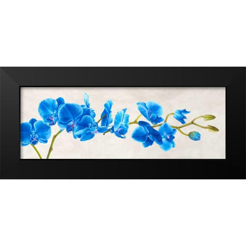 Blue Orchid Black Modern Wood Framed Art Print by Mills, Shin