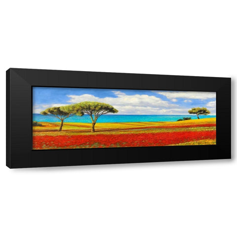 Mediterraneo Black Modern Wood Framed Art Print with Double Matting by Angelo, Masera