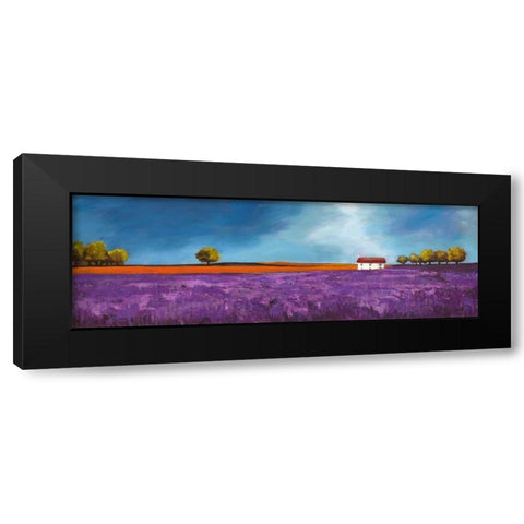 Field of lavender Black Modern Wood Framed Art Print by Bloom, Philip