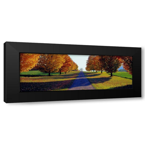Autumn Road Storm King Mountain New York Black Modern Wood Framed Art Print by Berenholtz, Richard