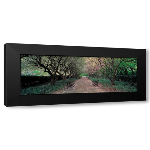 Through Conservatory Garden Central Park NYC Black Modern Wood Framed Art Print with Double Matting by Berenholtz, Richard